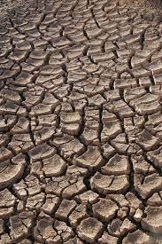 خشکسالی و راه مقابله با آن