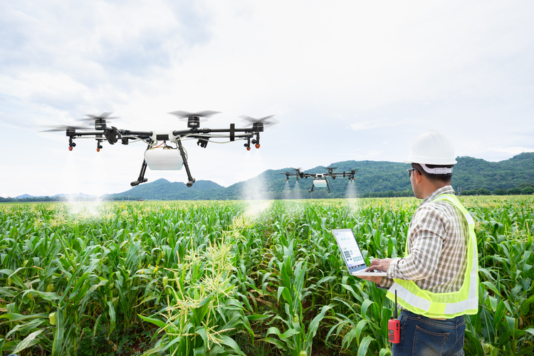 کشاورزی و AI