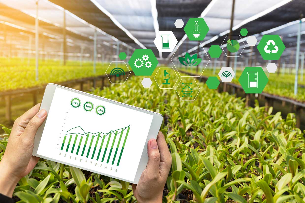 کشاورزی دیجیتال