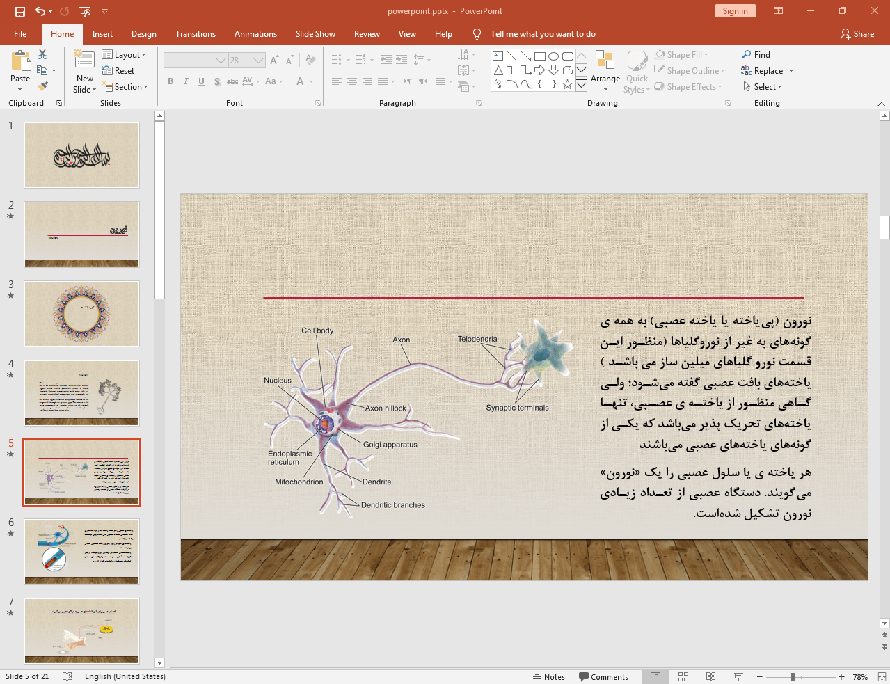 نورون (پی یاخته یا یاخته عصبی)