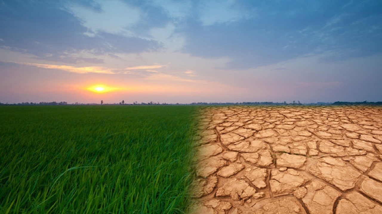 بررسی تاثیرات تغییر اقلیم بر کشاورزی