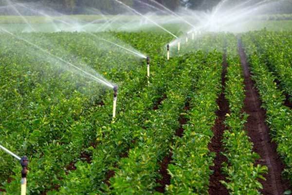 کیفیت آب در کشاورزی