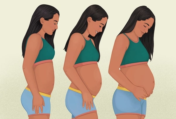 تغییرات و سازگاری های بدن مادر در دوران حاملگی