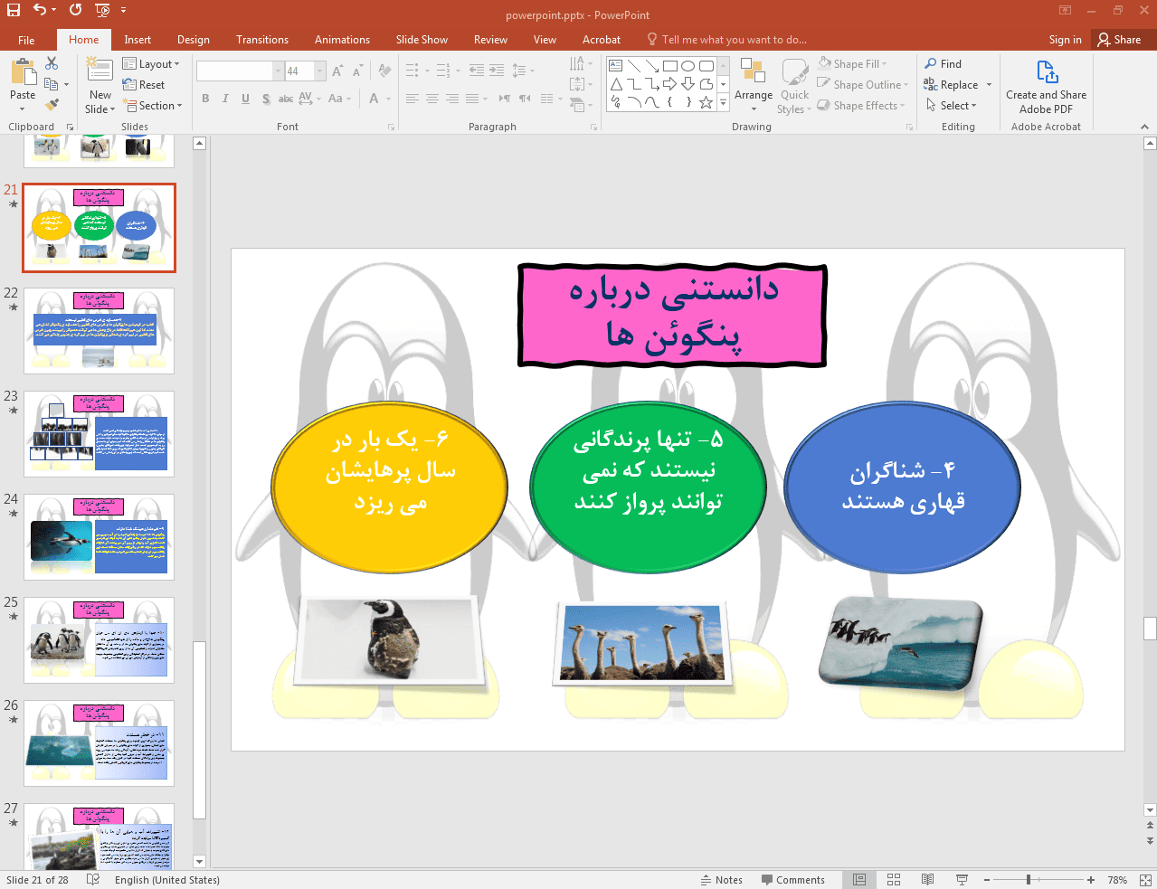 دانستنی در مورد پنگوئن ها
