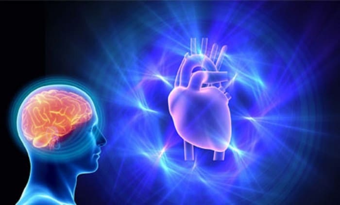 مطالعه ای بر تفاوت های سکته قلبی و مغزی