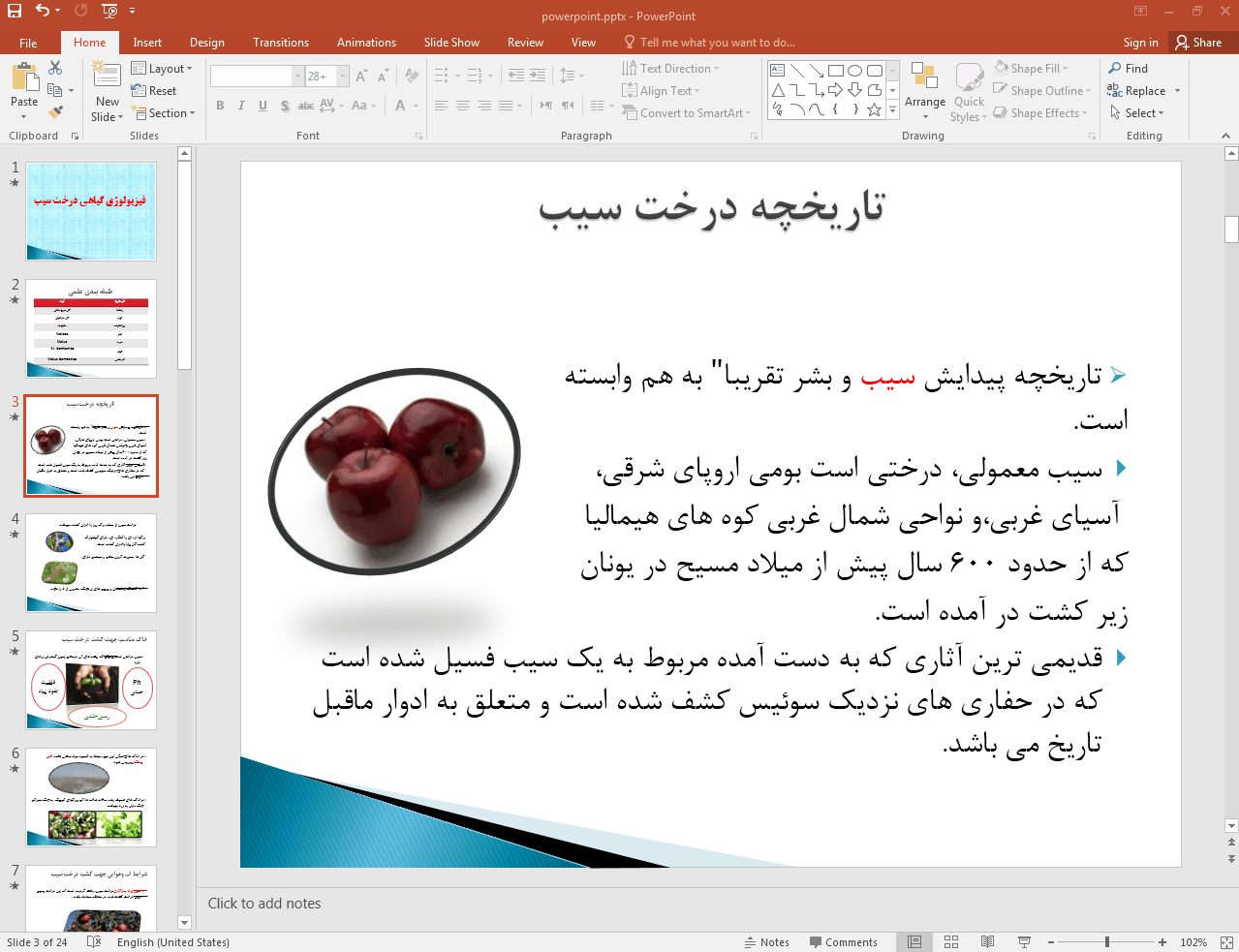 تاریخچه درخت سیب