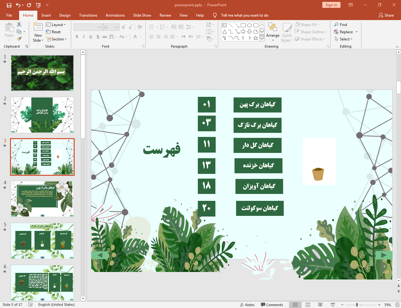 بررسی گیاهان زینتی
