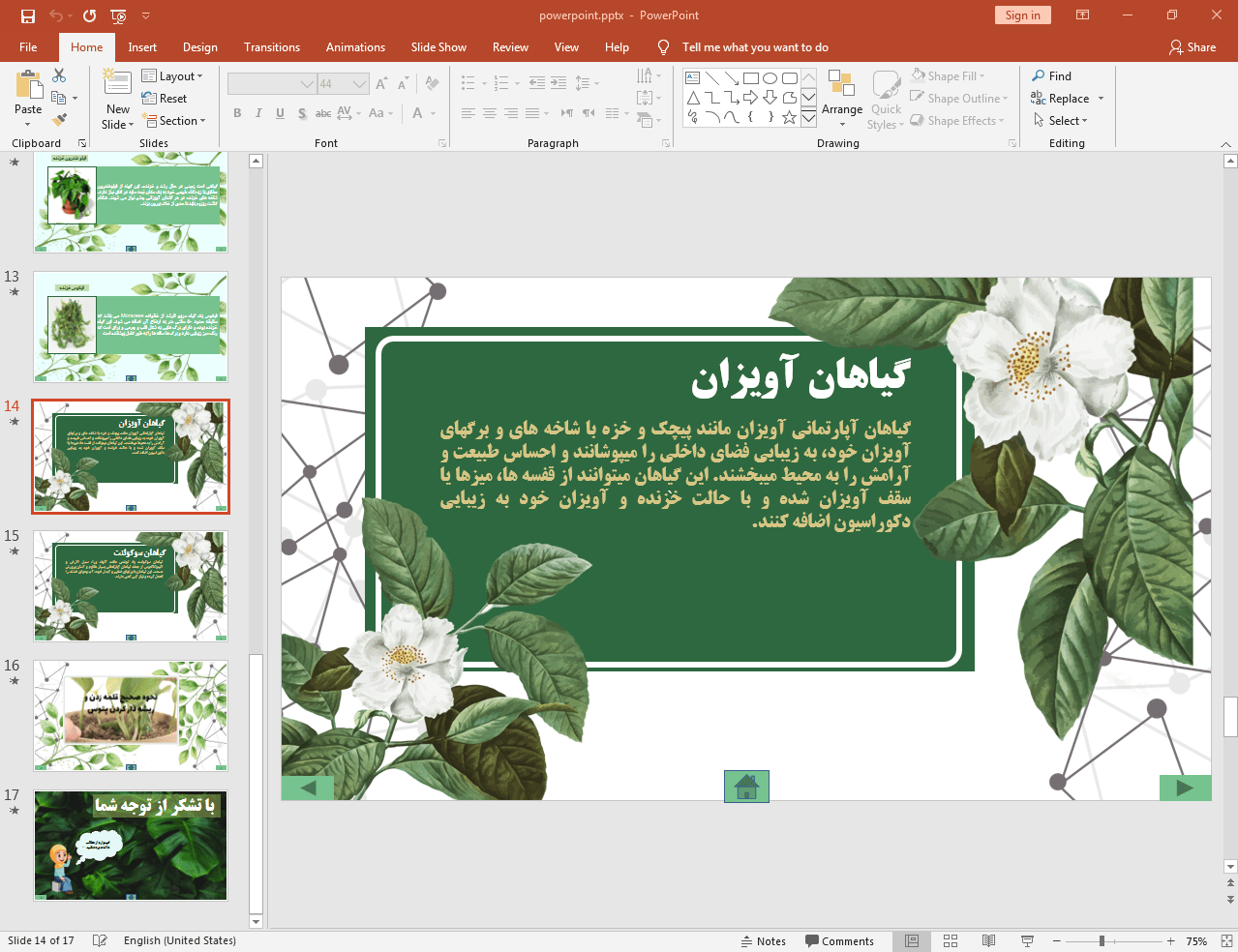 گیاهان آویزان