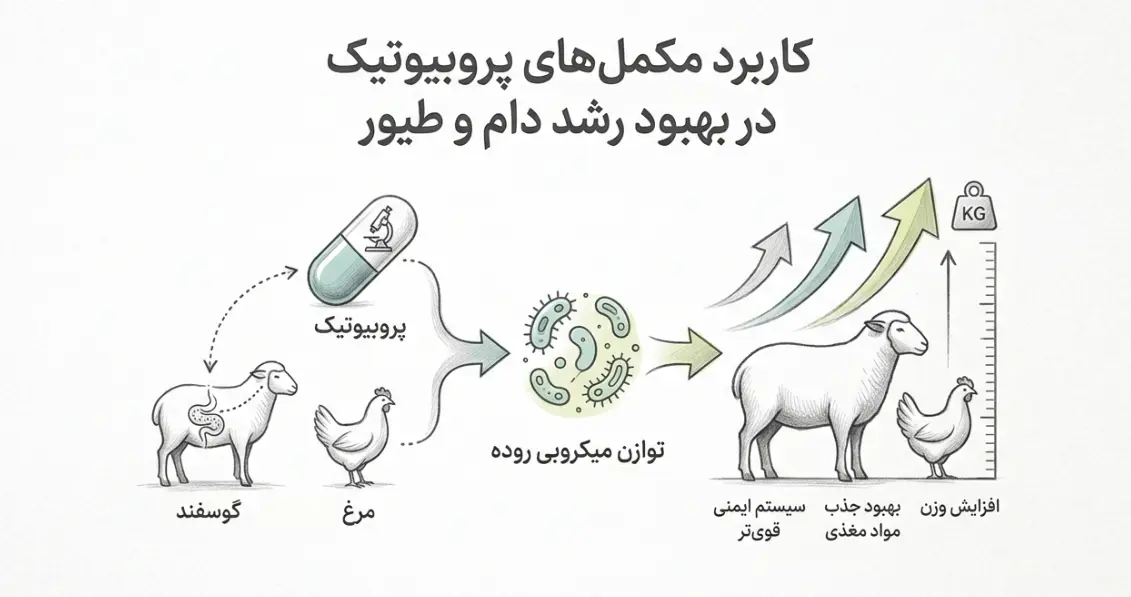 مکمل های پروبیوتیک
